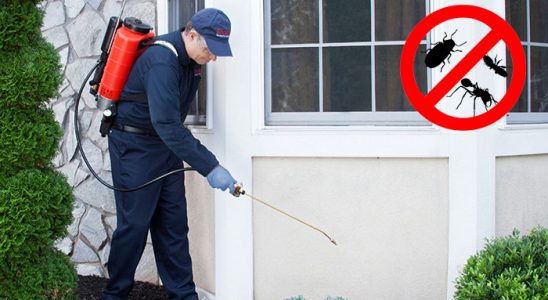 Palu Dezenfeksiyon böcek ilaçlama ve haşere kontrolü — ilaclama-tr.com